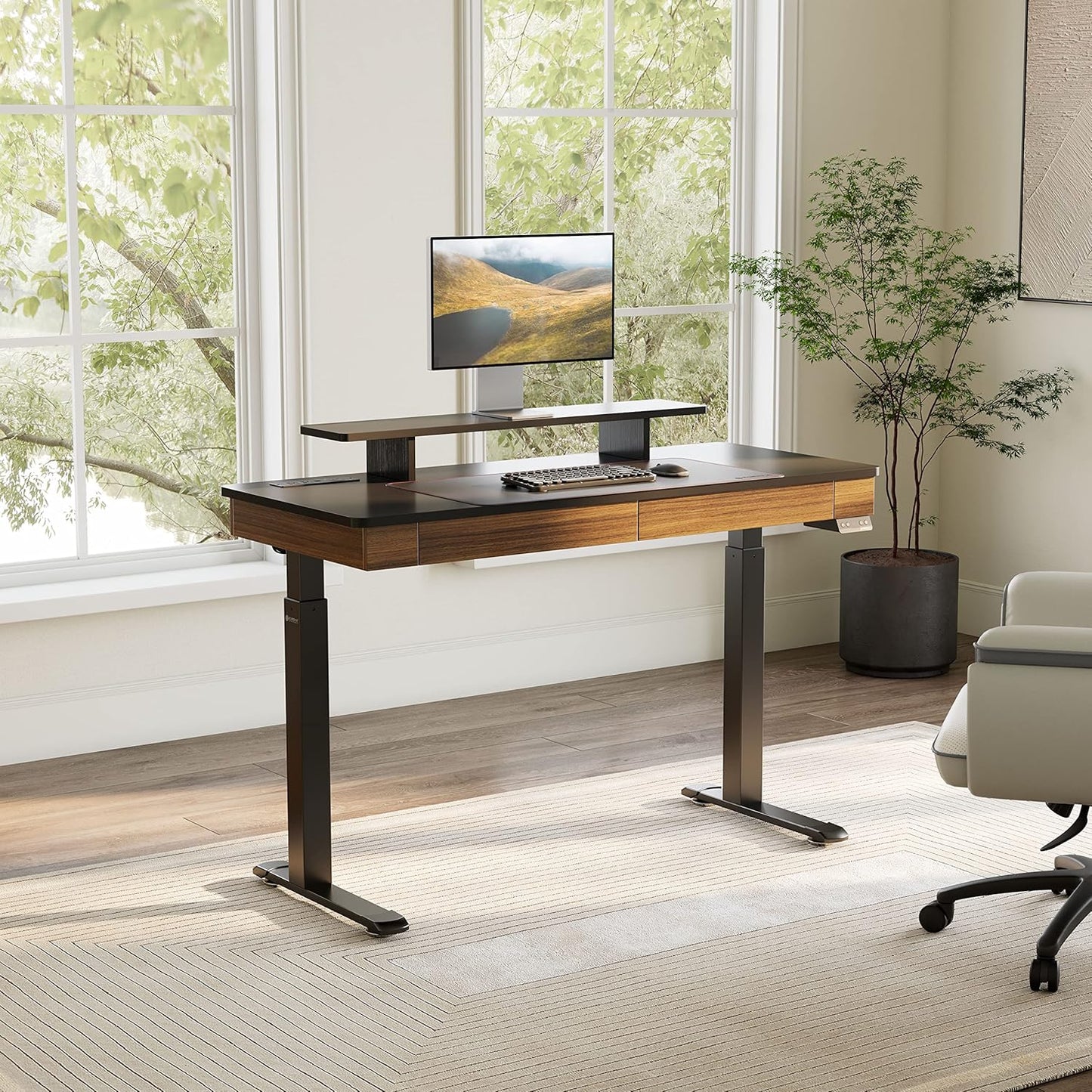 EUREKA ERGONOMIC Standing Desk with 2 Drawers, 55" Dual-Motor Height Adjustable Sit Stand Up Desk with Built-in Outlet, Wireless Charger, Luxury Home Office Computer Table with Monitor Riser, Walnut